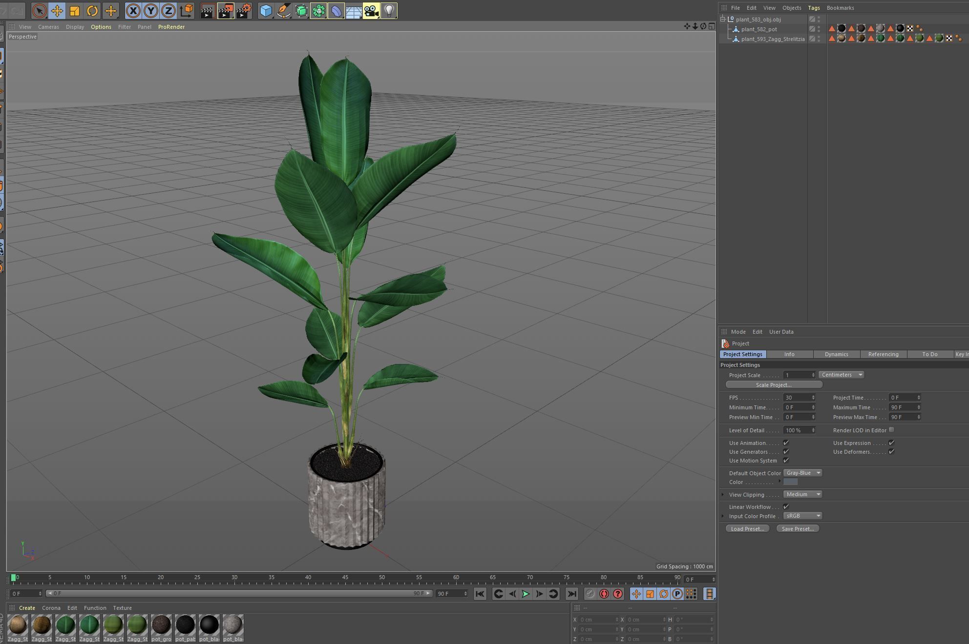 Plants collection 593 3D model_5