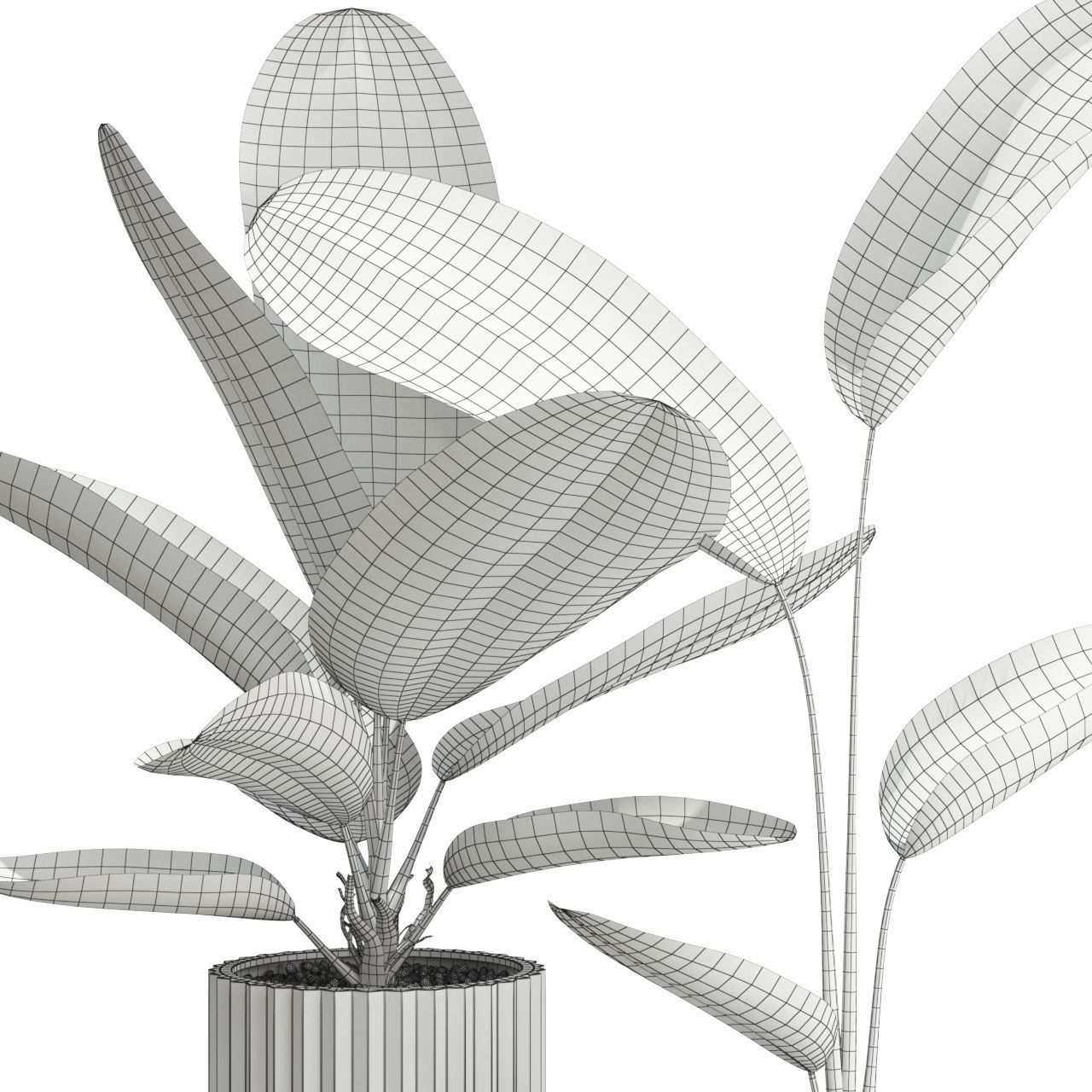 Plants collection 594 3D model_3