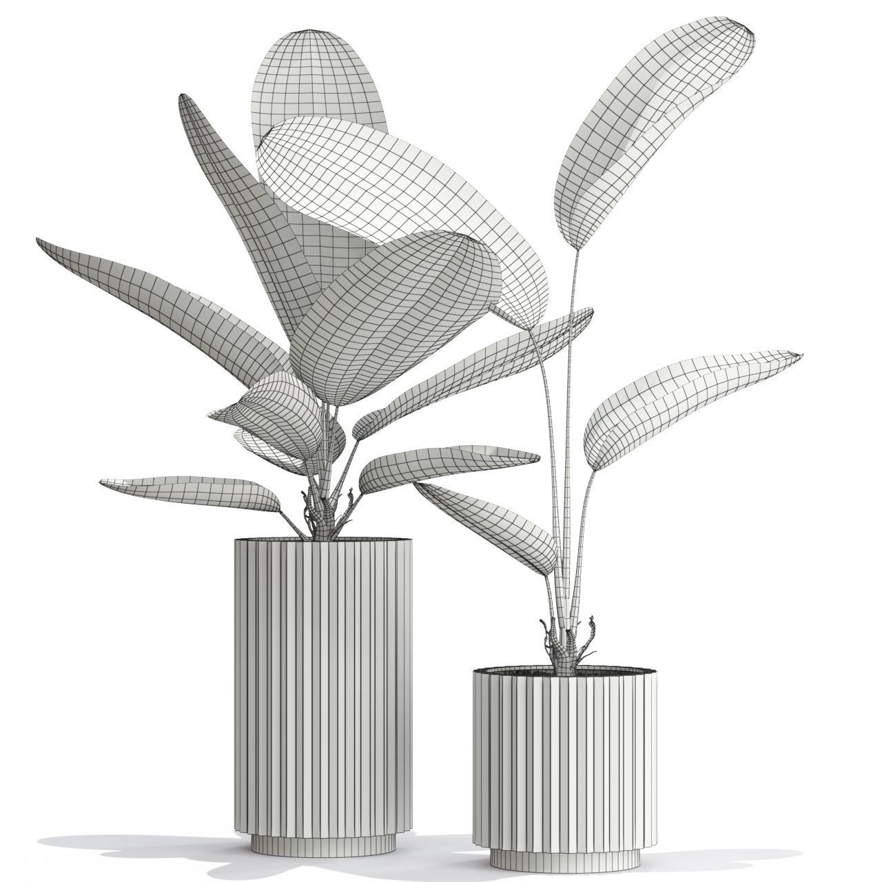 Plants collection 594 3D model_4