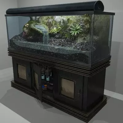 Complete Terrarium and Stand - Equipment 3D model_0
