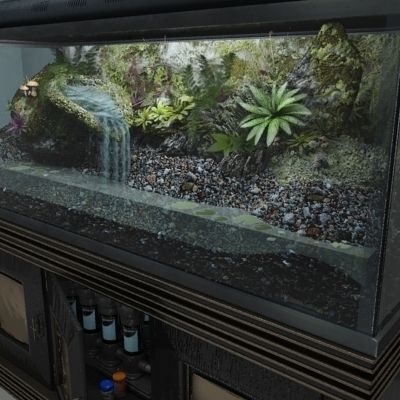 Complete Terrarium and Stand - Equipment 3D model_1
