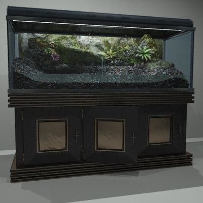 Complete Terrarium and Stand - Equipment 3D model_2