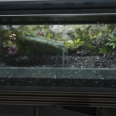 Complete Terrarium and Stand - Equipment 3D model_5