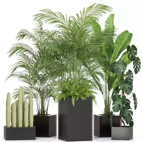Plants collection 595 3D model