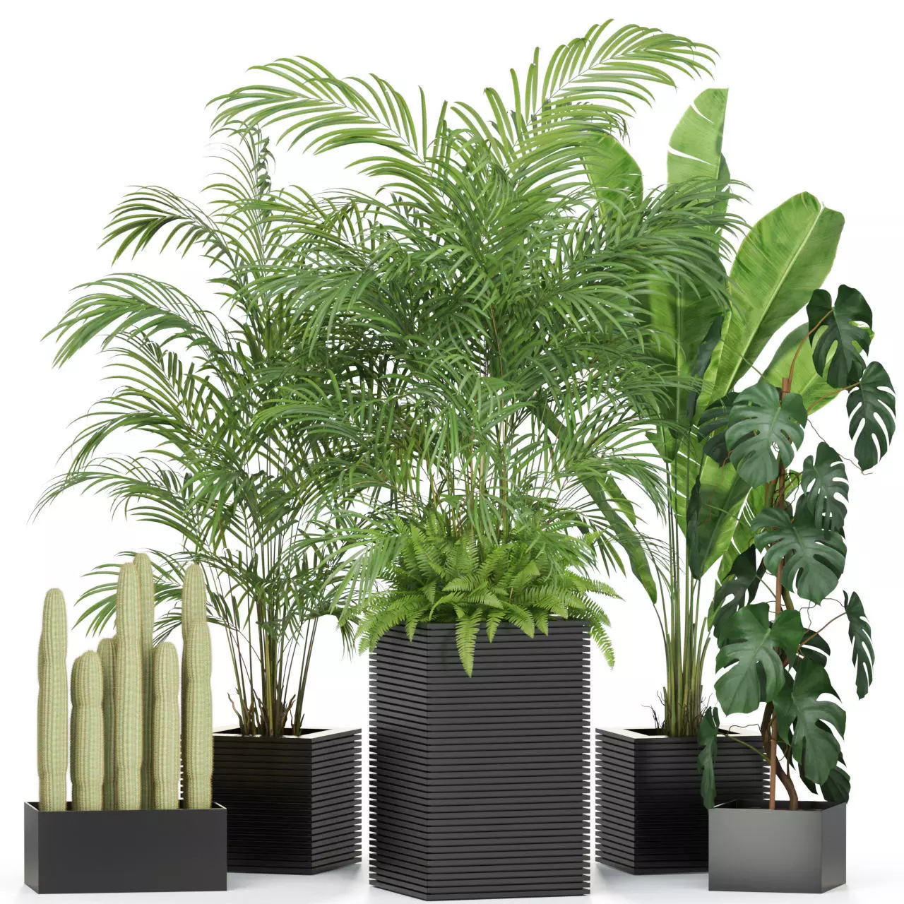 Plants collection 595 3D model_0