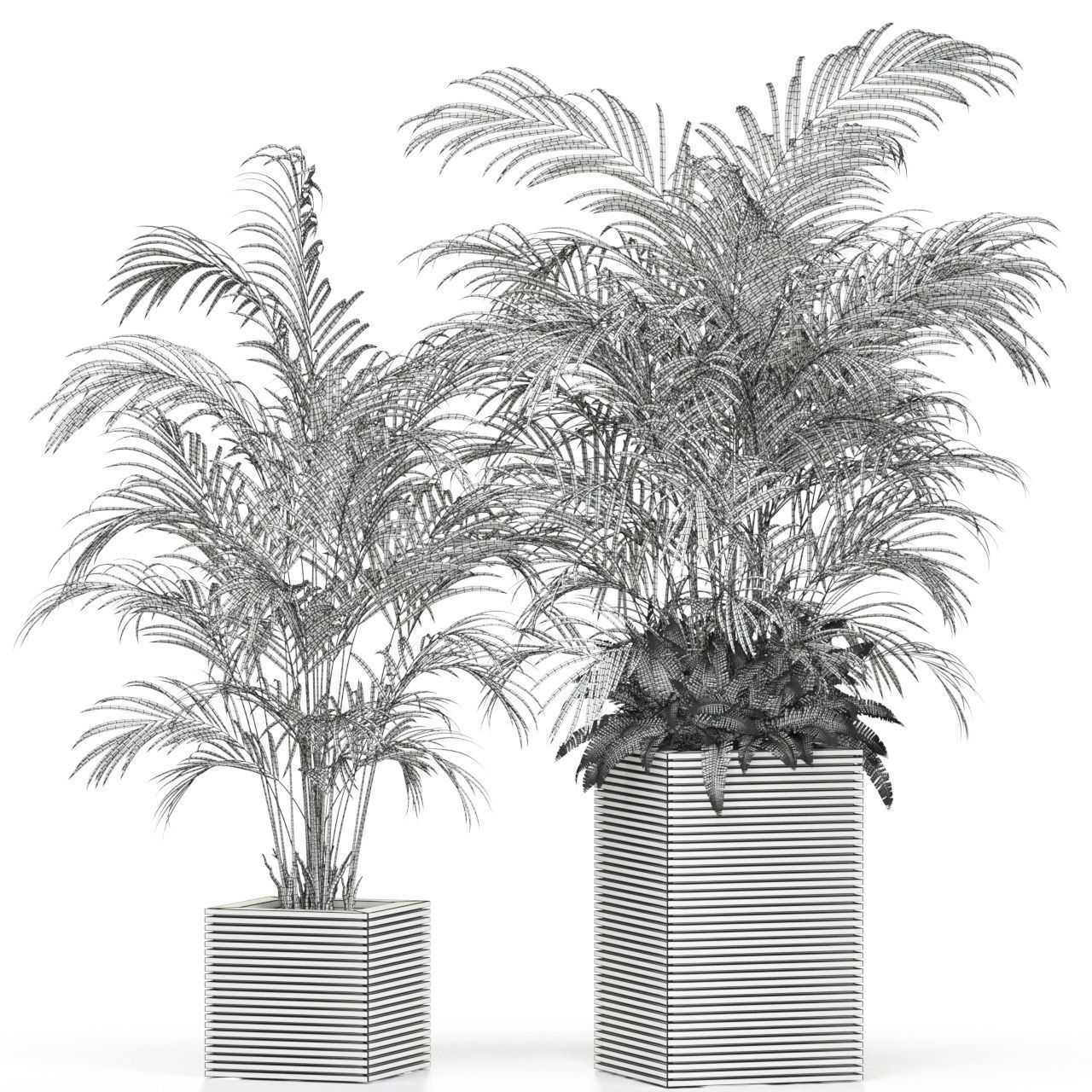 Plants collection 595 3D model_4