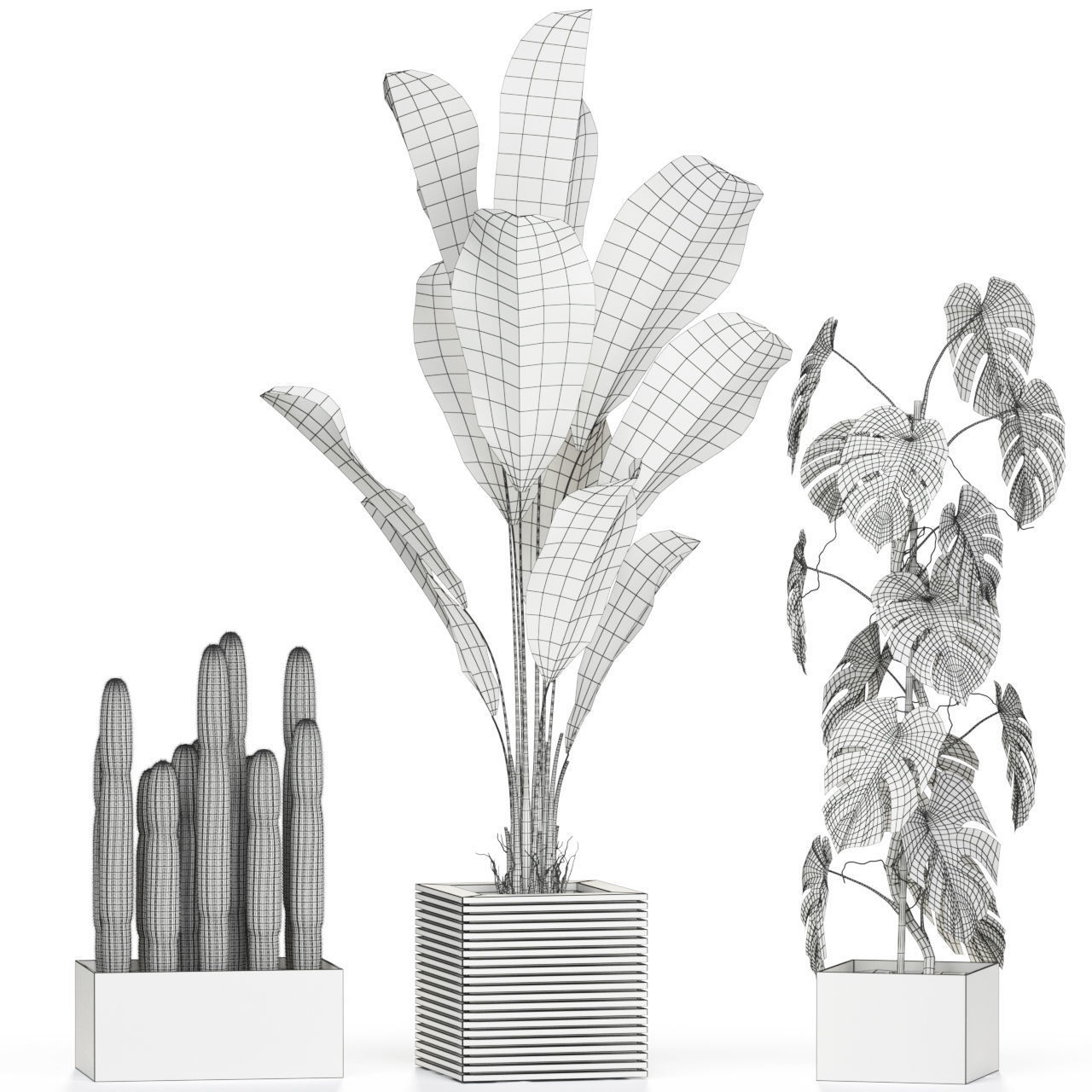 Plants collection 595 3D model_5