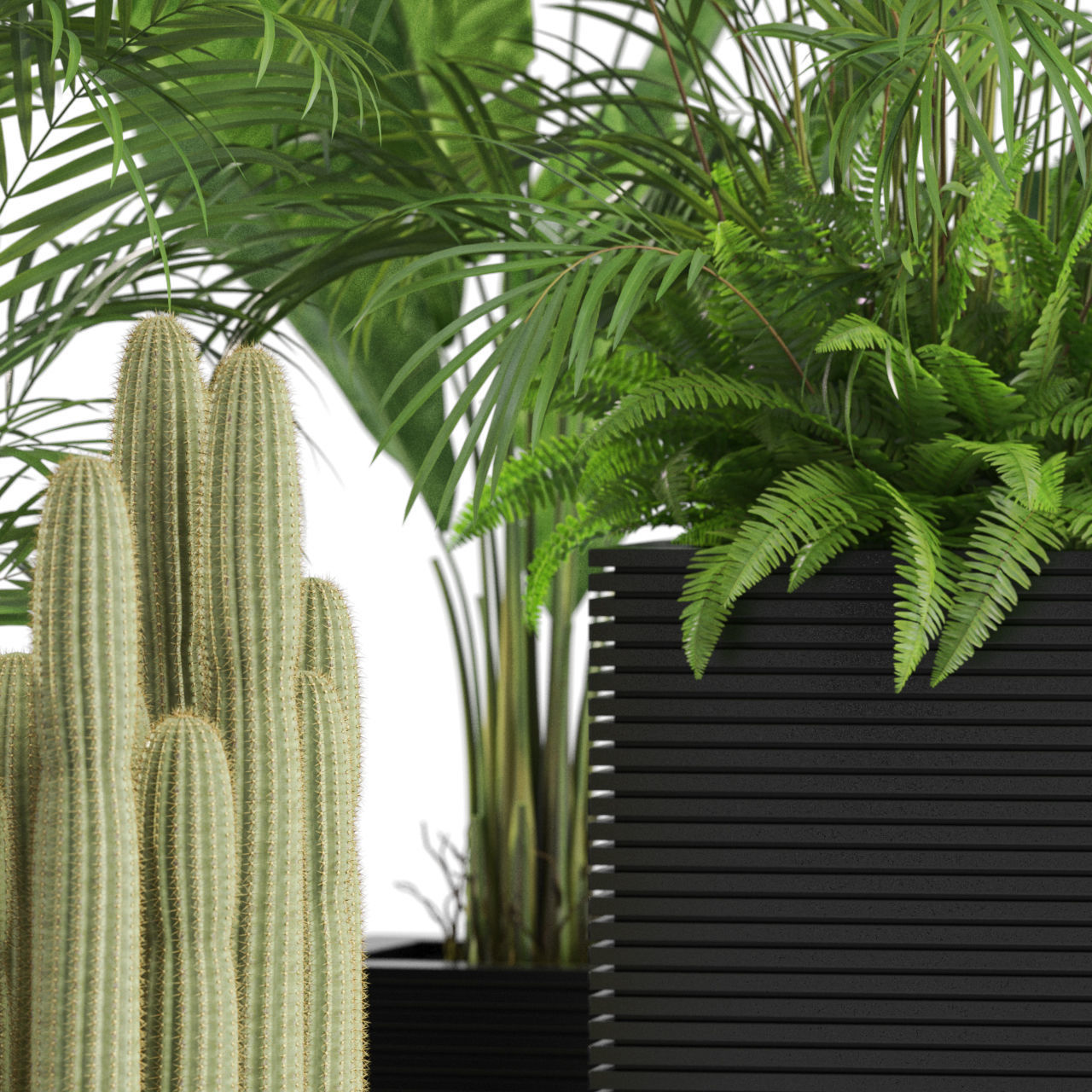 Plants collection 595 3D model_1