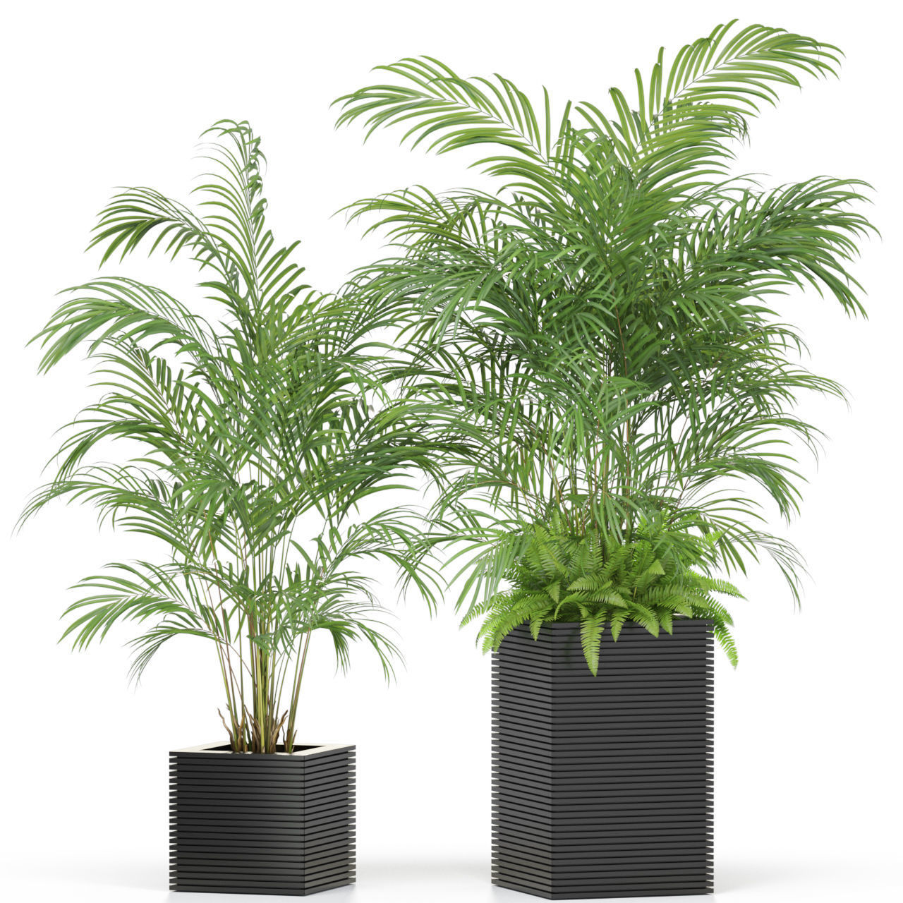 Plants collection 595 3D model_2