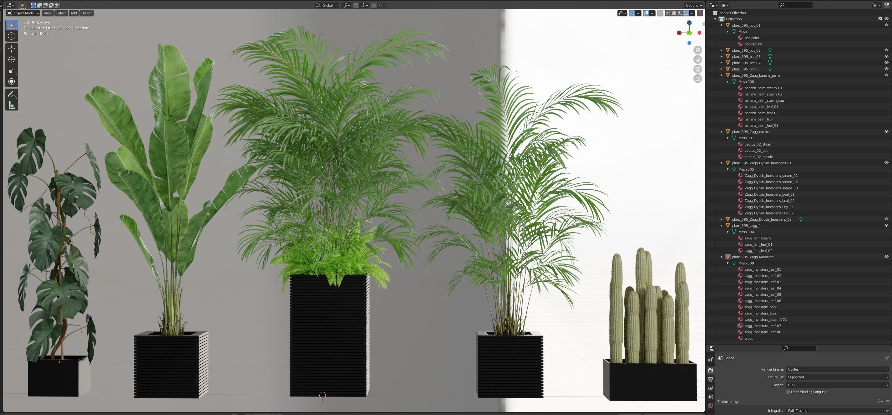 Plants collection 595 3D model_7