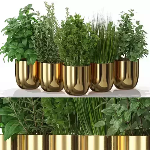 Plants collection 598