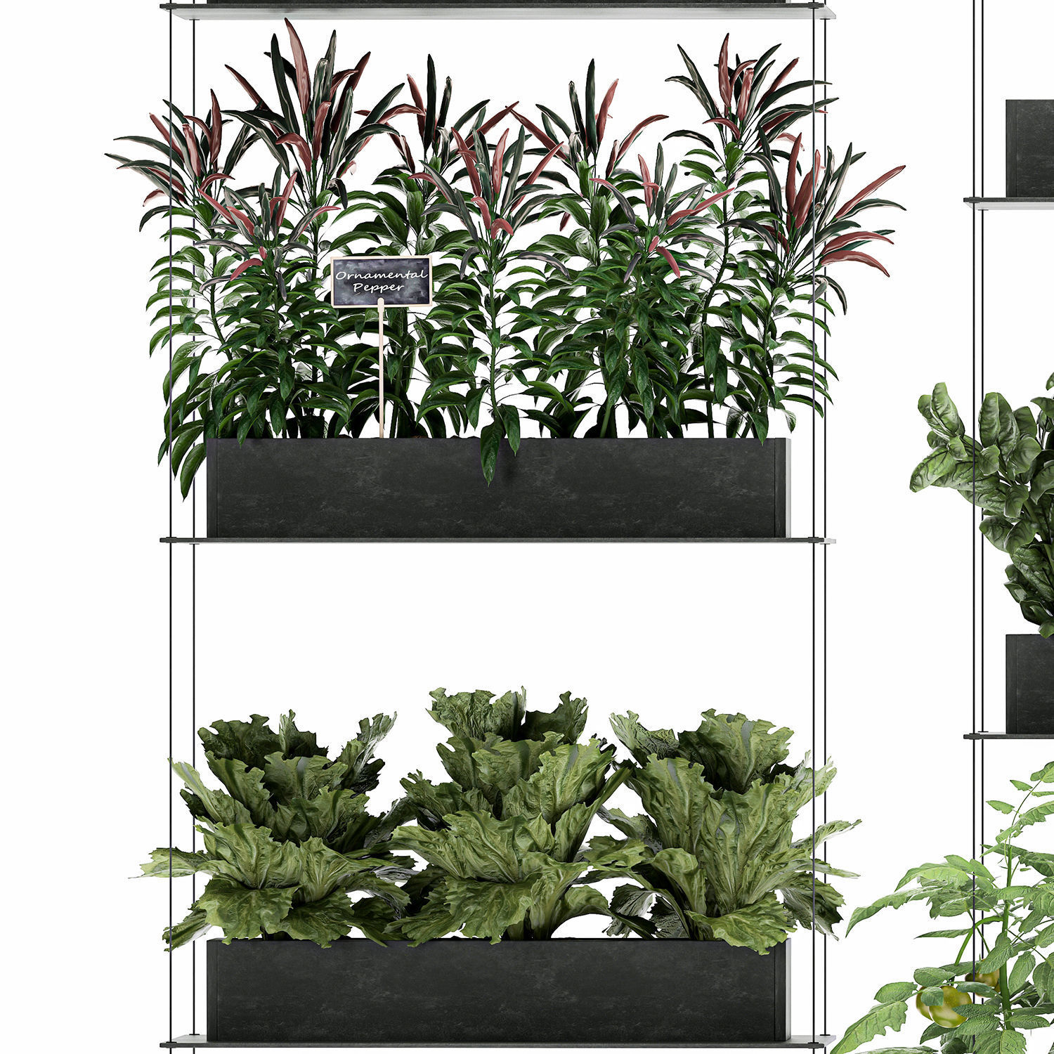 Vertical garden for the kitchen 70 3D model_3