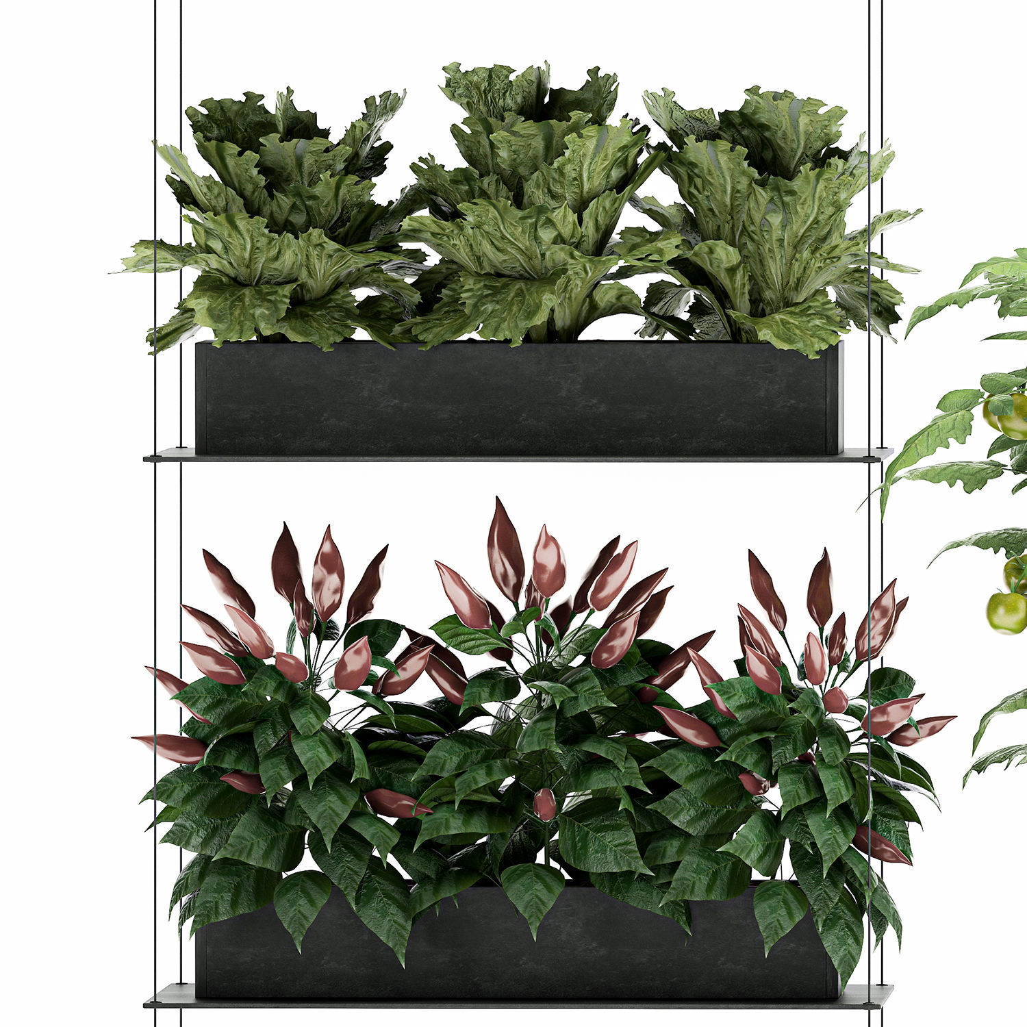 Vertical garden for the kitchen 70 3D model_5