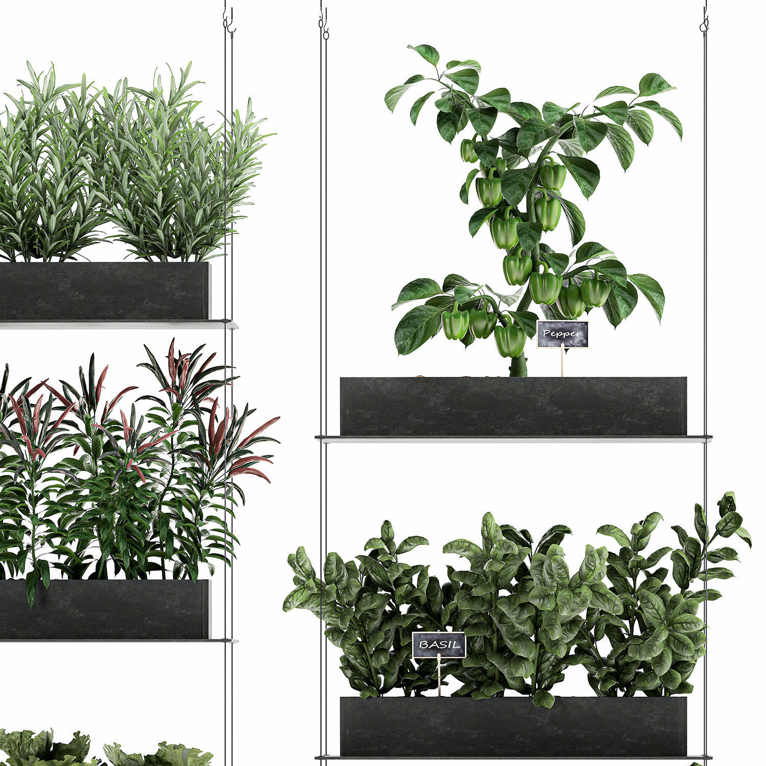 Vertical garden for the kitchen 70 3D model_6