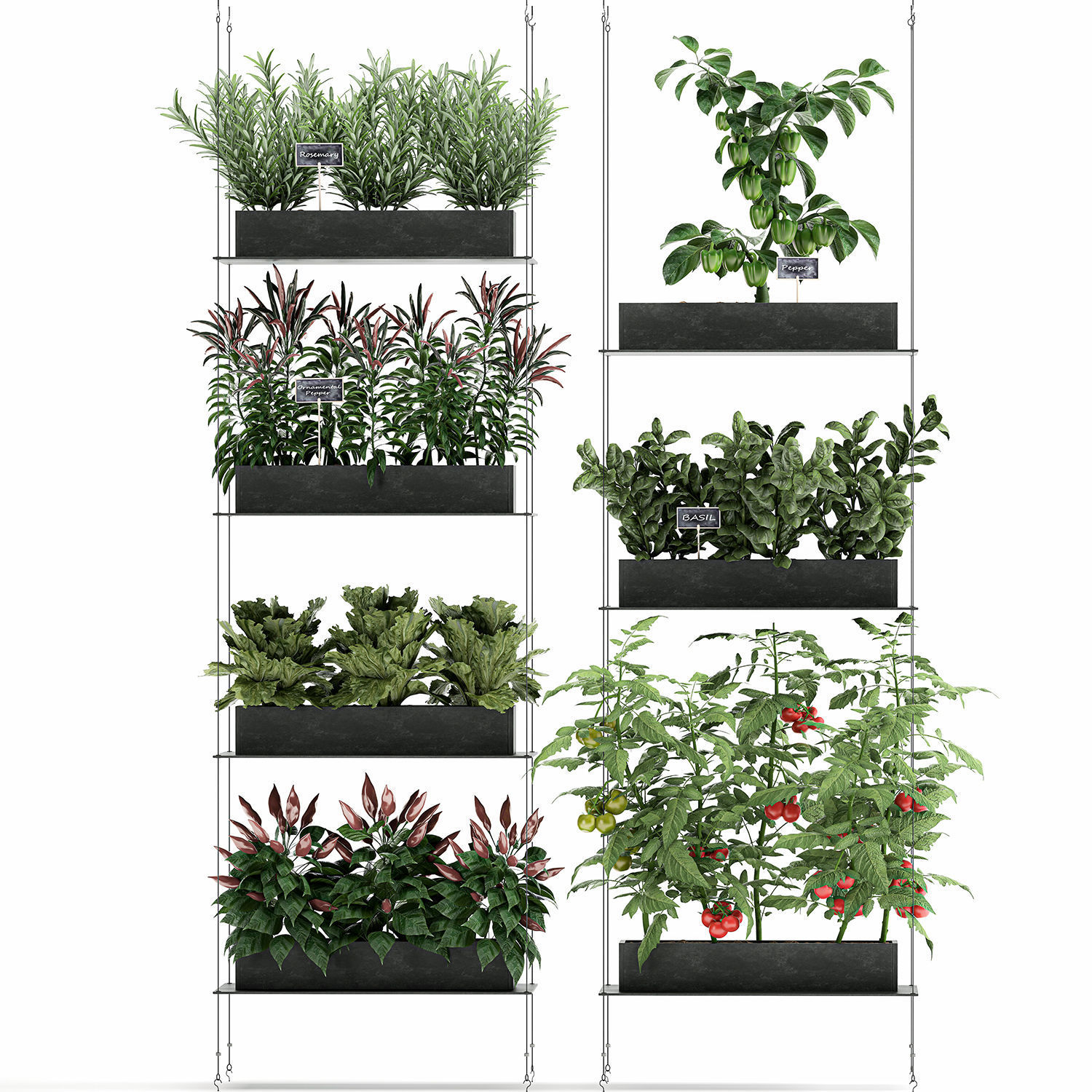 Vertical garden for the kitchen 70 3D model_2