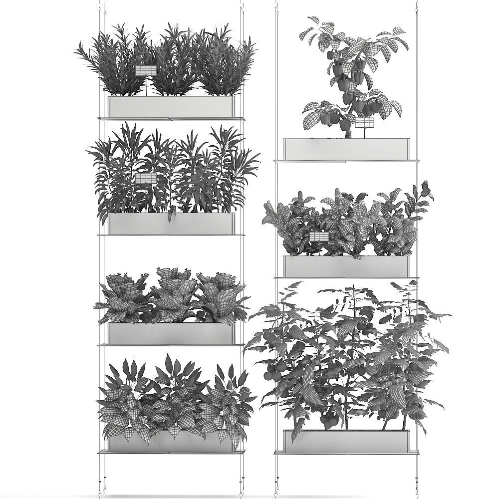 Vertical garden for the kitchen 70 3D model_7