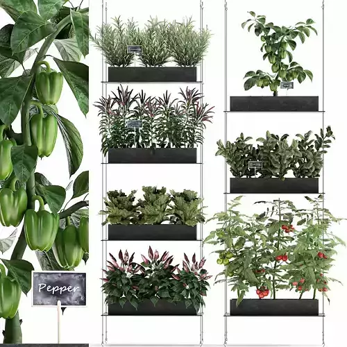 Vertical garden for the kitchen 70 3D model