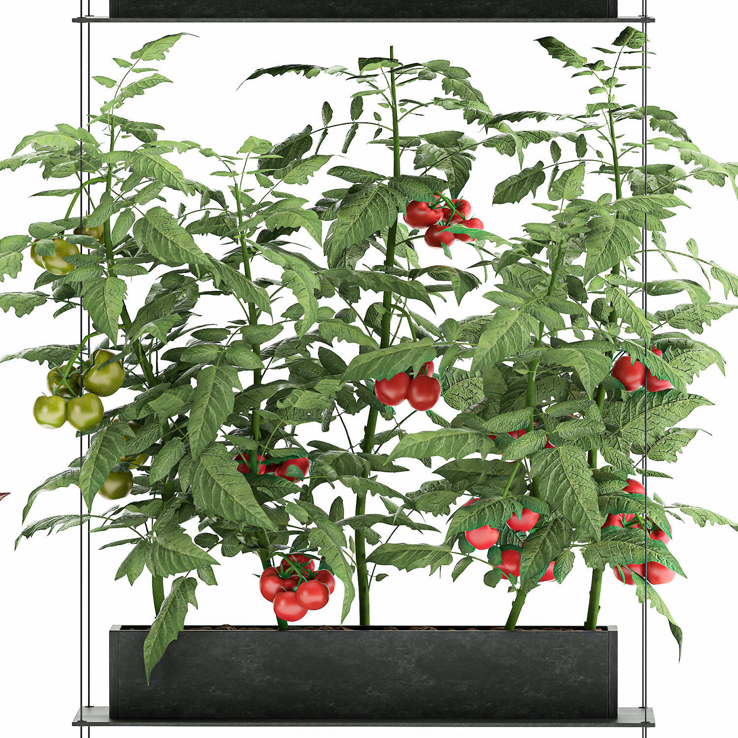 Vertical garden for the kitchen 70 3D model_4