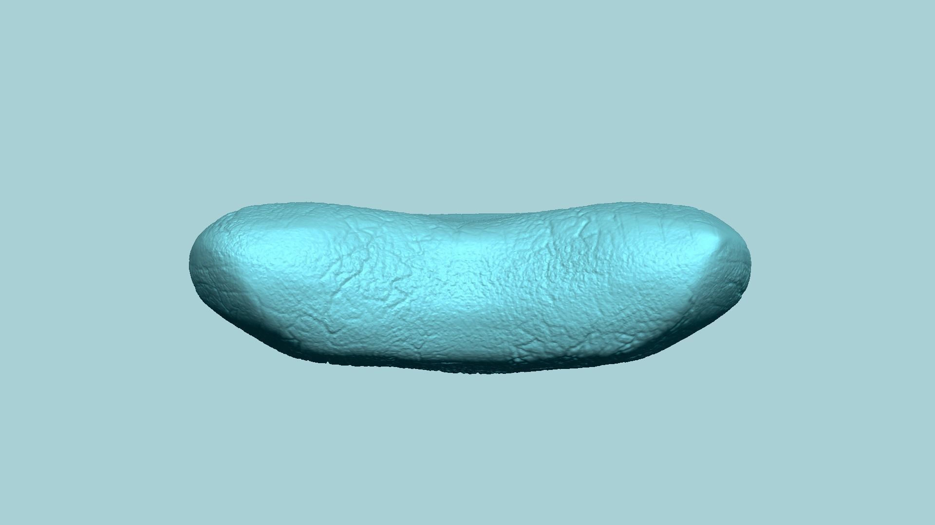 Megalodon Tooth - Jurassic Fossile Real Size - STL 3D print model_9