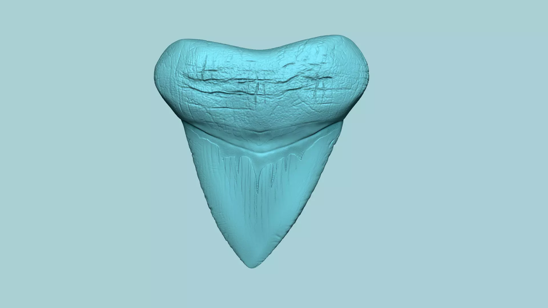 Megalodon Tooth - Jurassic Fossile Real Size - STL 3D print model_0