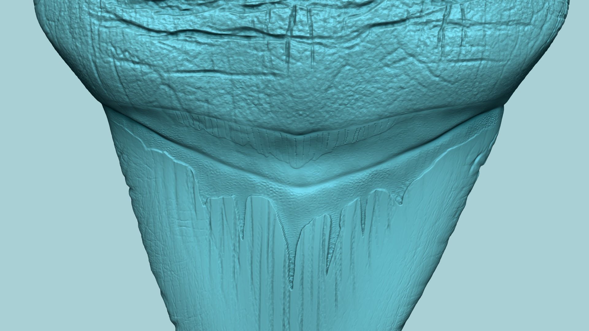 Megalodon Tooth - Jurassic Fossile Real Size - STL 3D print model_12