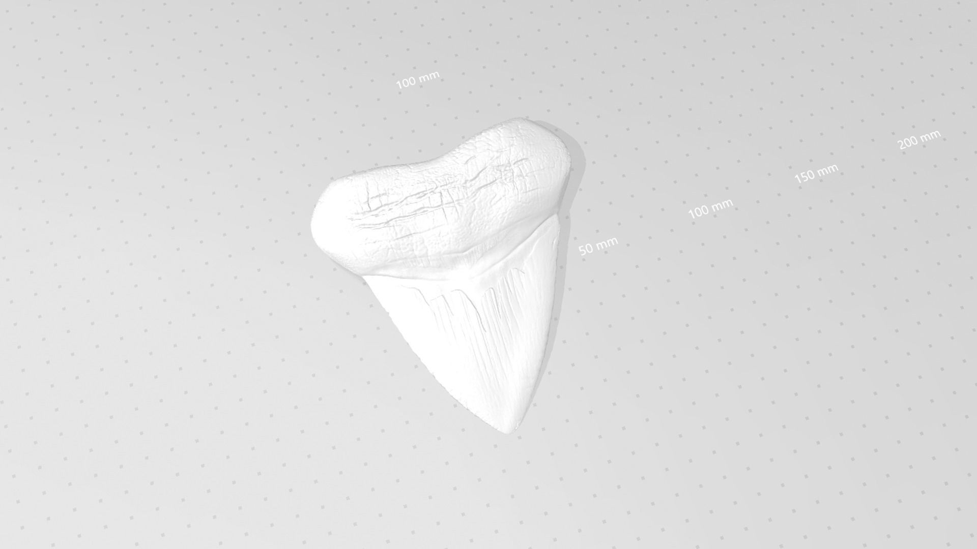 Megalodon Tooth - Jurassic Fossile Real Size - STL 3D print model_14
