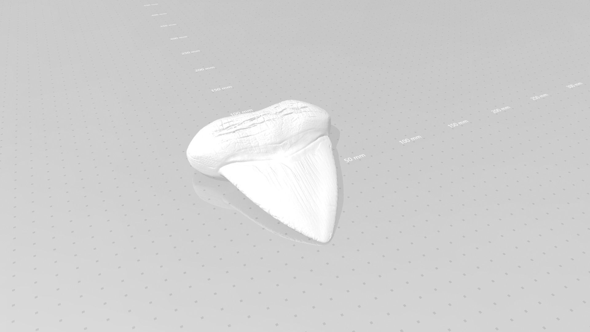 Megalodon Tooth - Jurassic Fossile Real Size - STL 3D print model_15