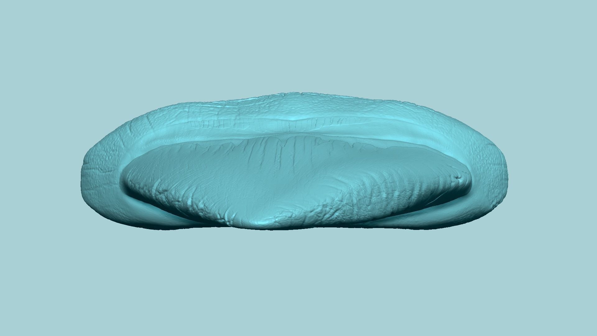 Megalodon Tooth - Jurassic Fossile Real Size - STL 3D print model_11