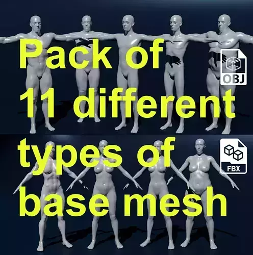 Base Human body Pack of 11 character base mesh 