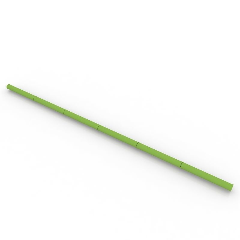 Bamboo Stem 3D model_1