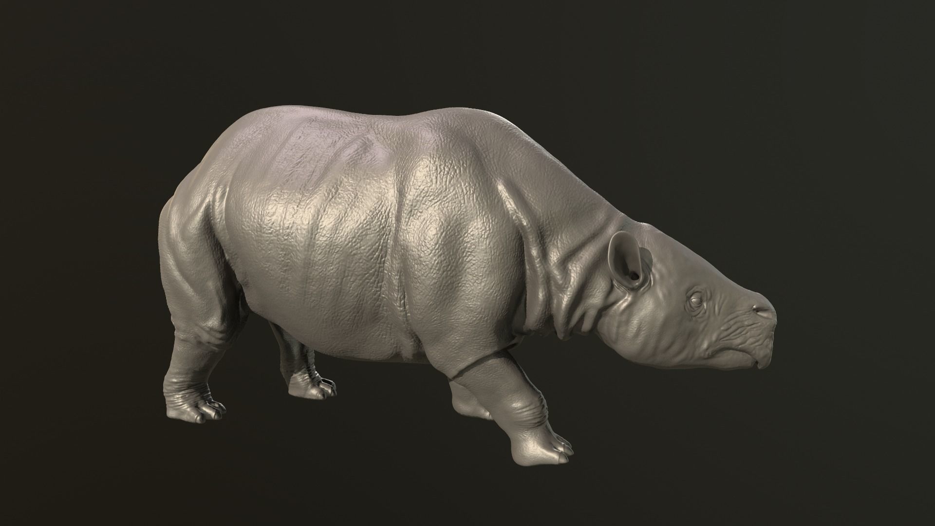 Toxodon rhinoceros 3D print model_4