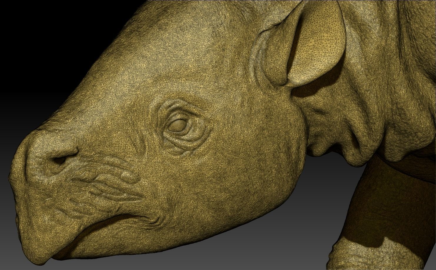 Toxodon rhinoceros 3D print model_8