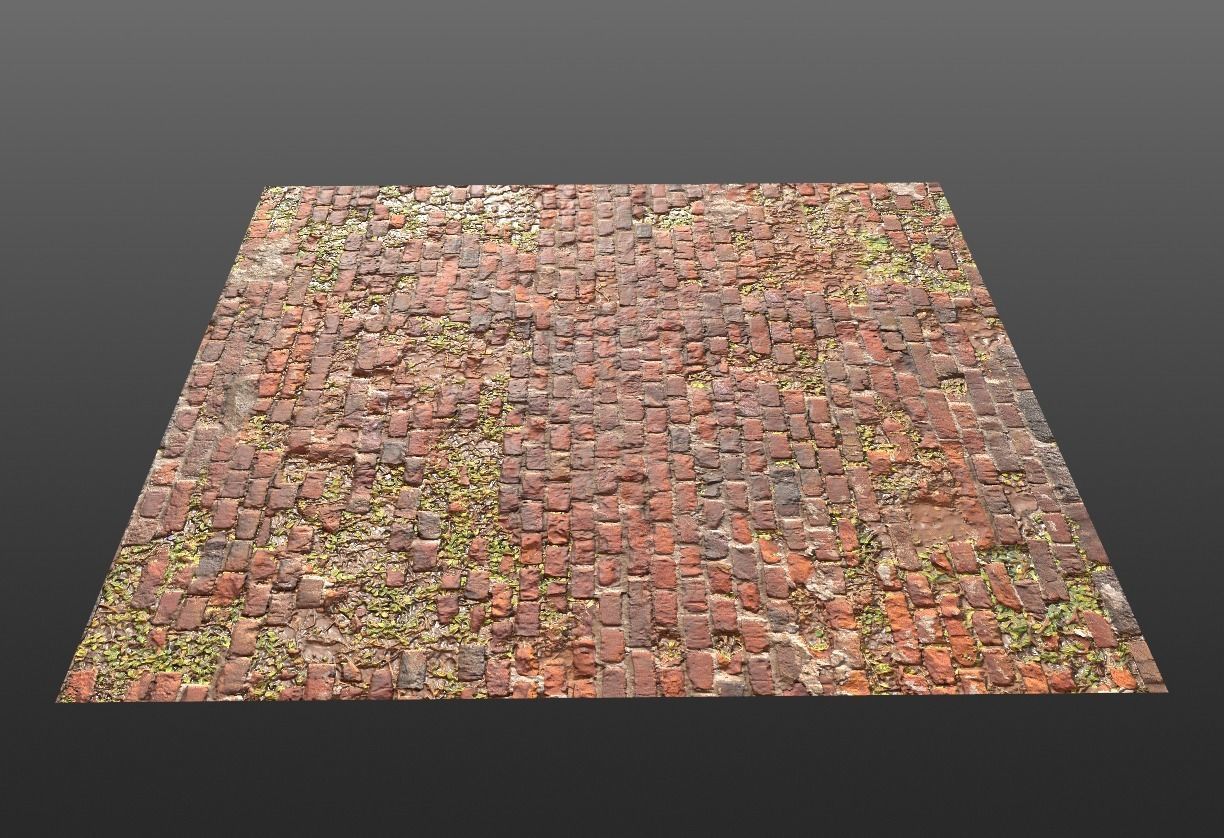 broken castle brick and leave Texture_6