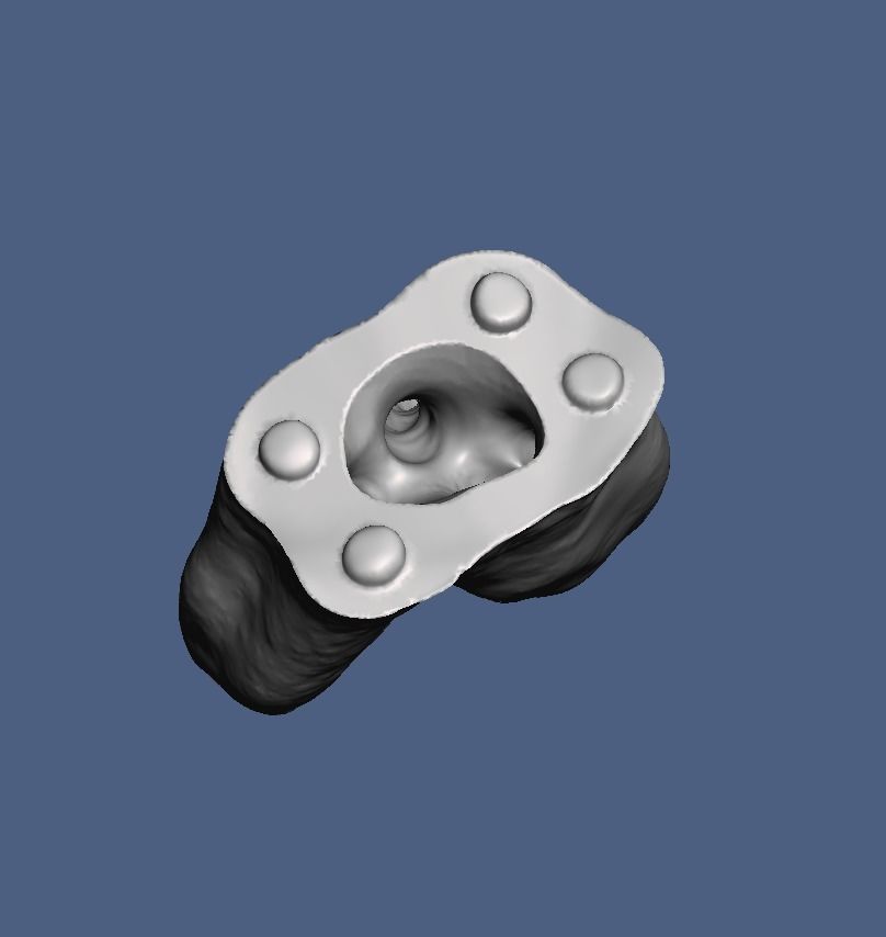 Natural anatomy teeth with root canal in 2 pieces  3D print model_12