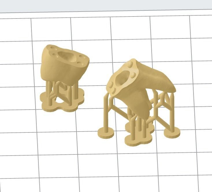 Natural anatomy teeth with root canal in 2 pieces  3D print model_8