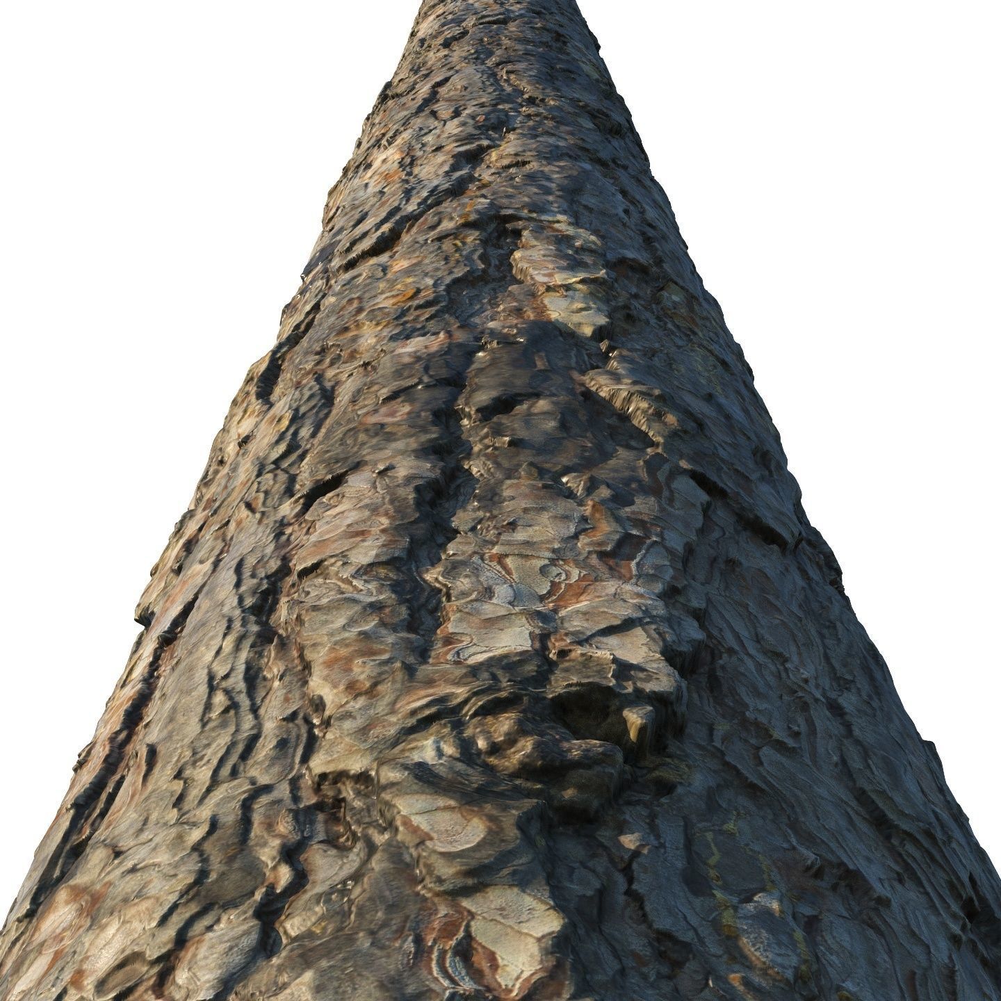 4k Pine bark material 02 Texture_6