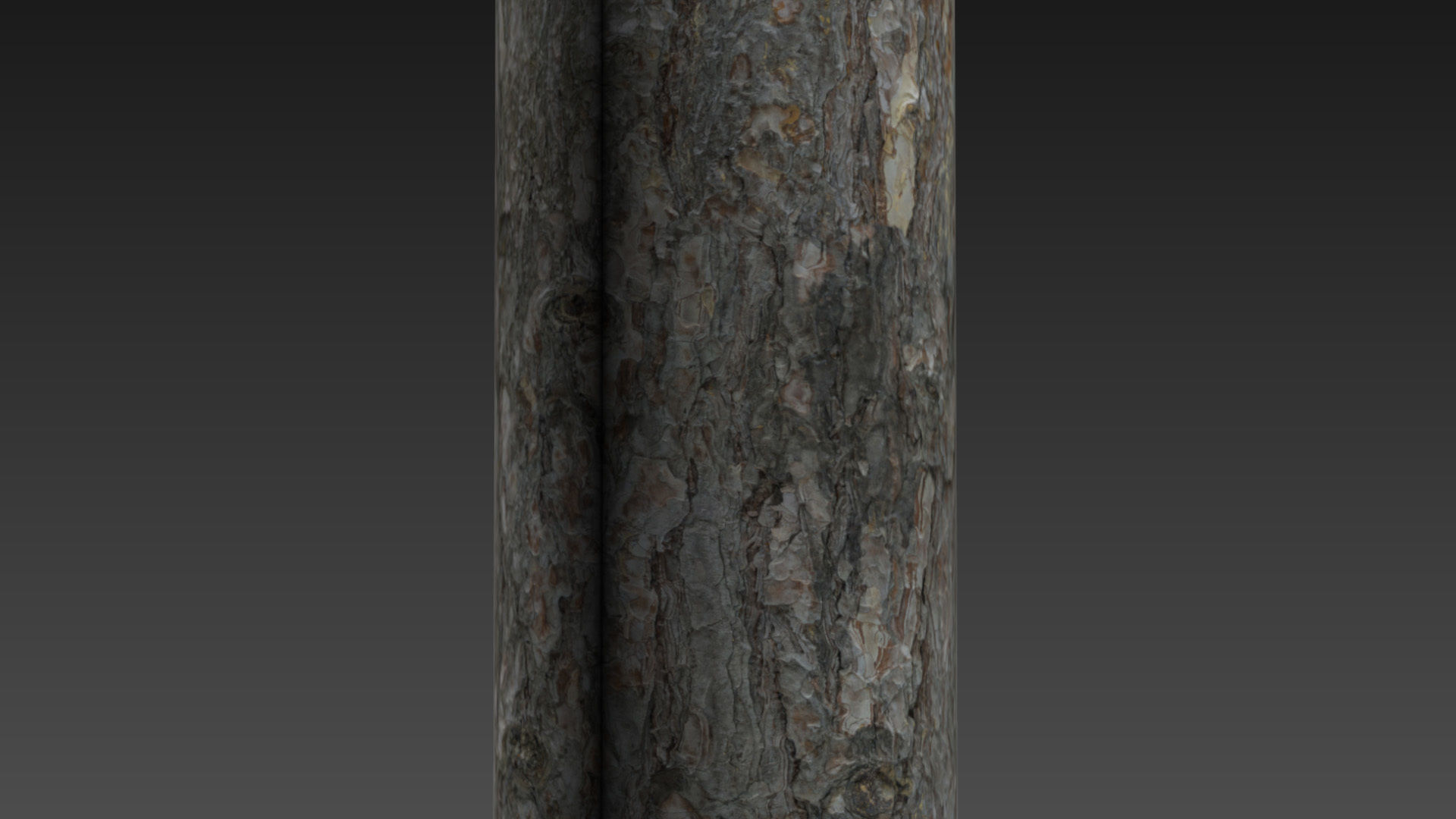 4k Pine bark material 02 Texture_9