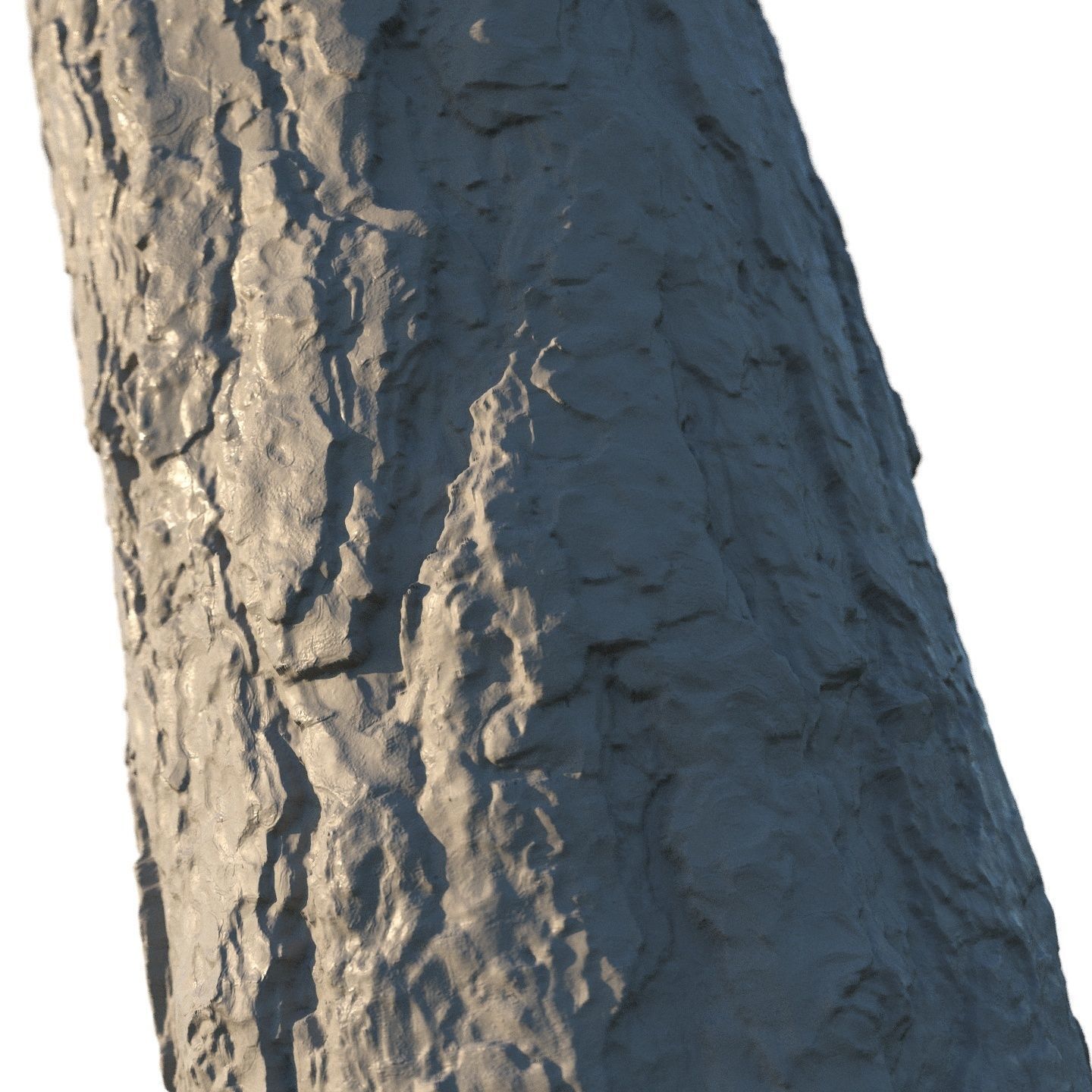 4k Pine bark material 02 Texture_5