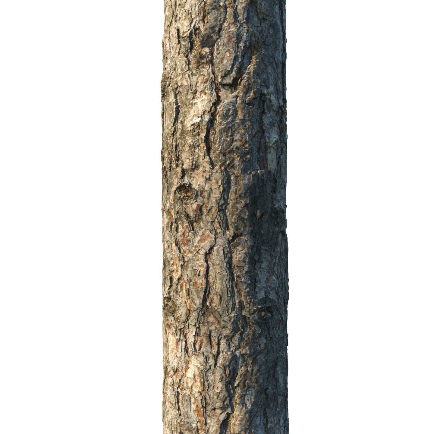 4k Pine bark material 02 Texture_3