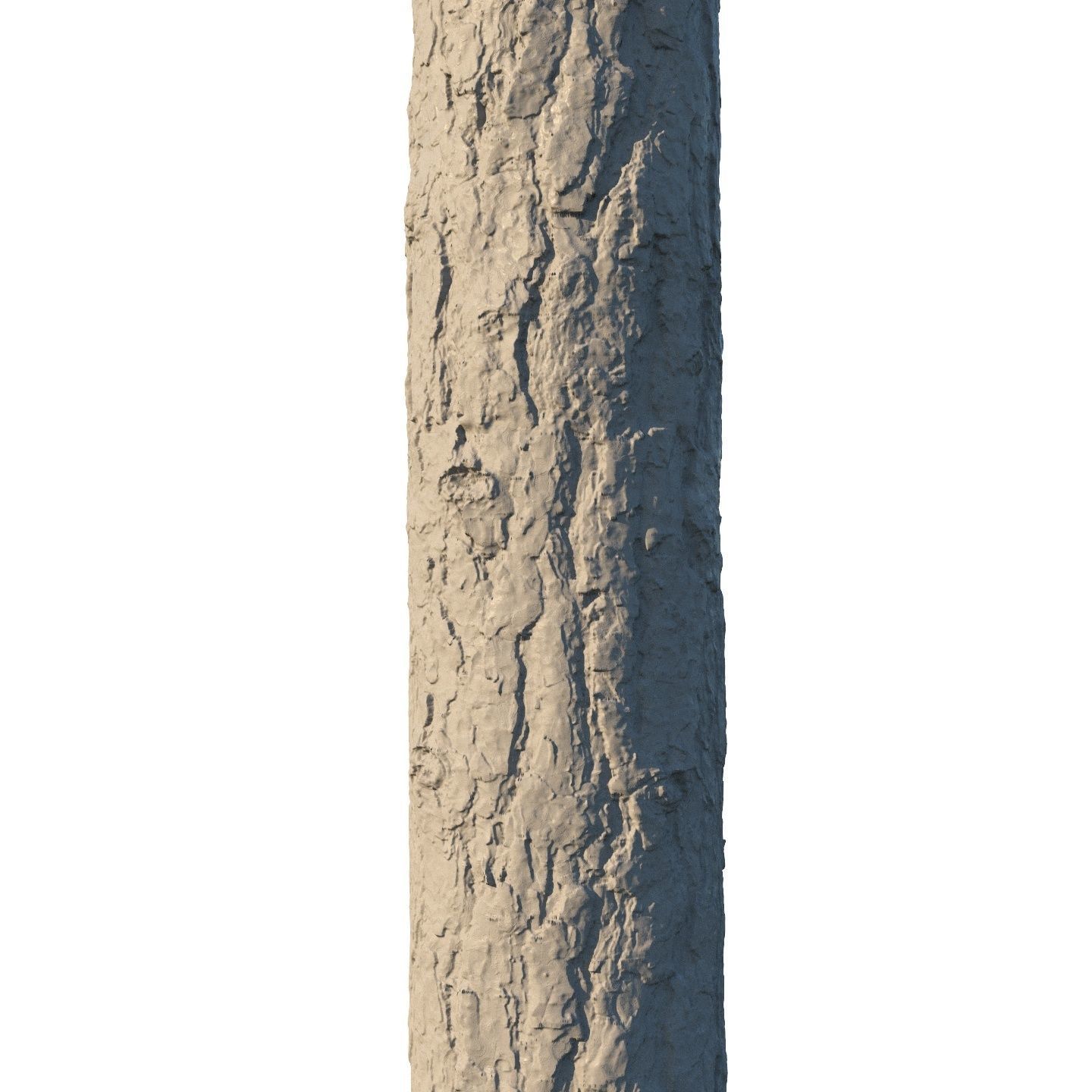 4k Pine bark material 02 Texture_4