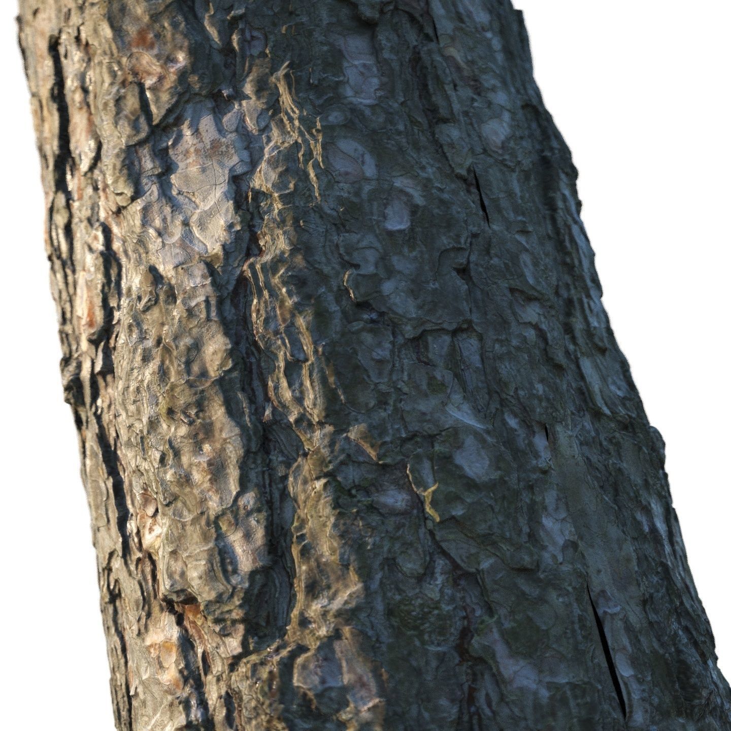 4k Pine bark material 02 Texture_2