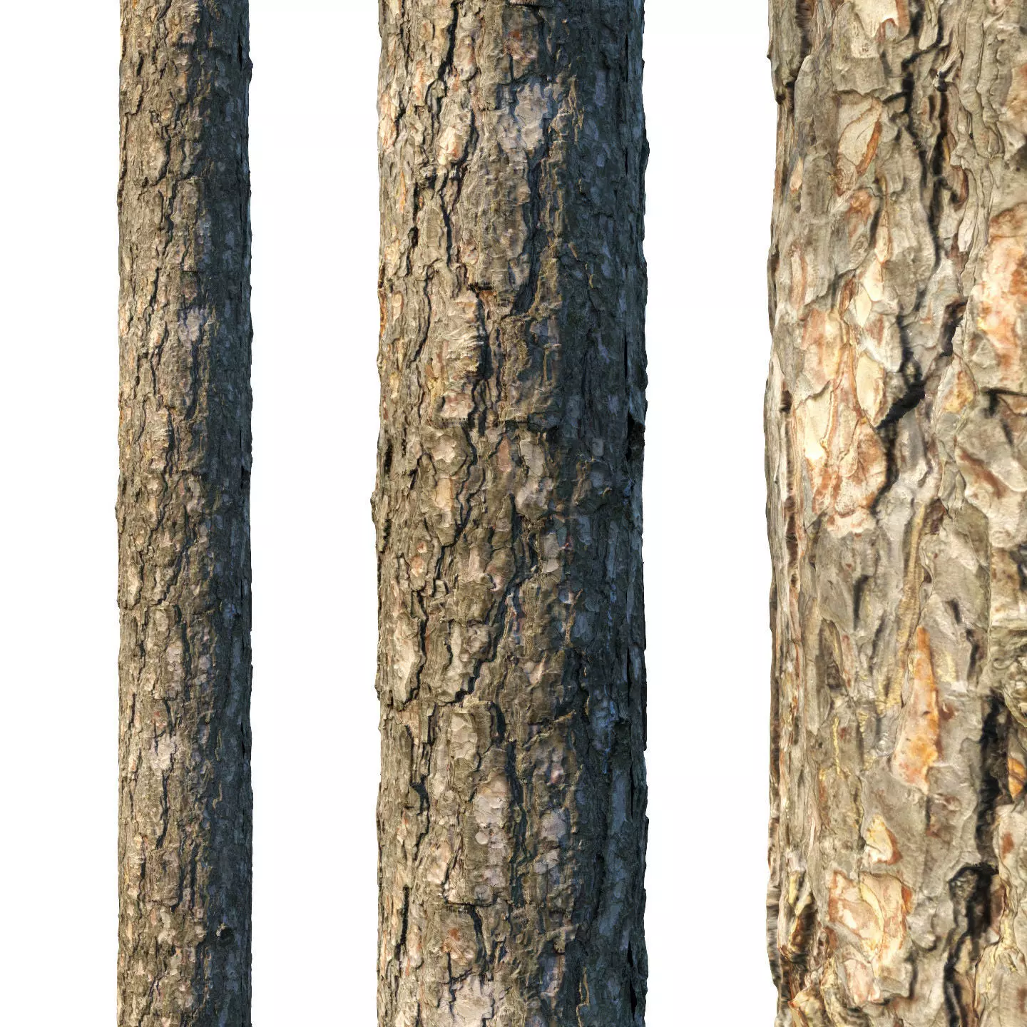 4k Pine bark material 02 Texture_0