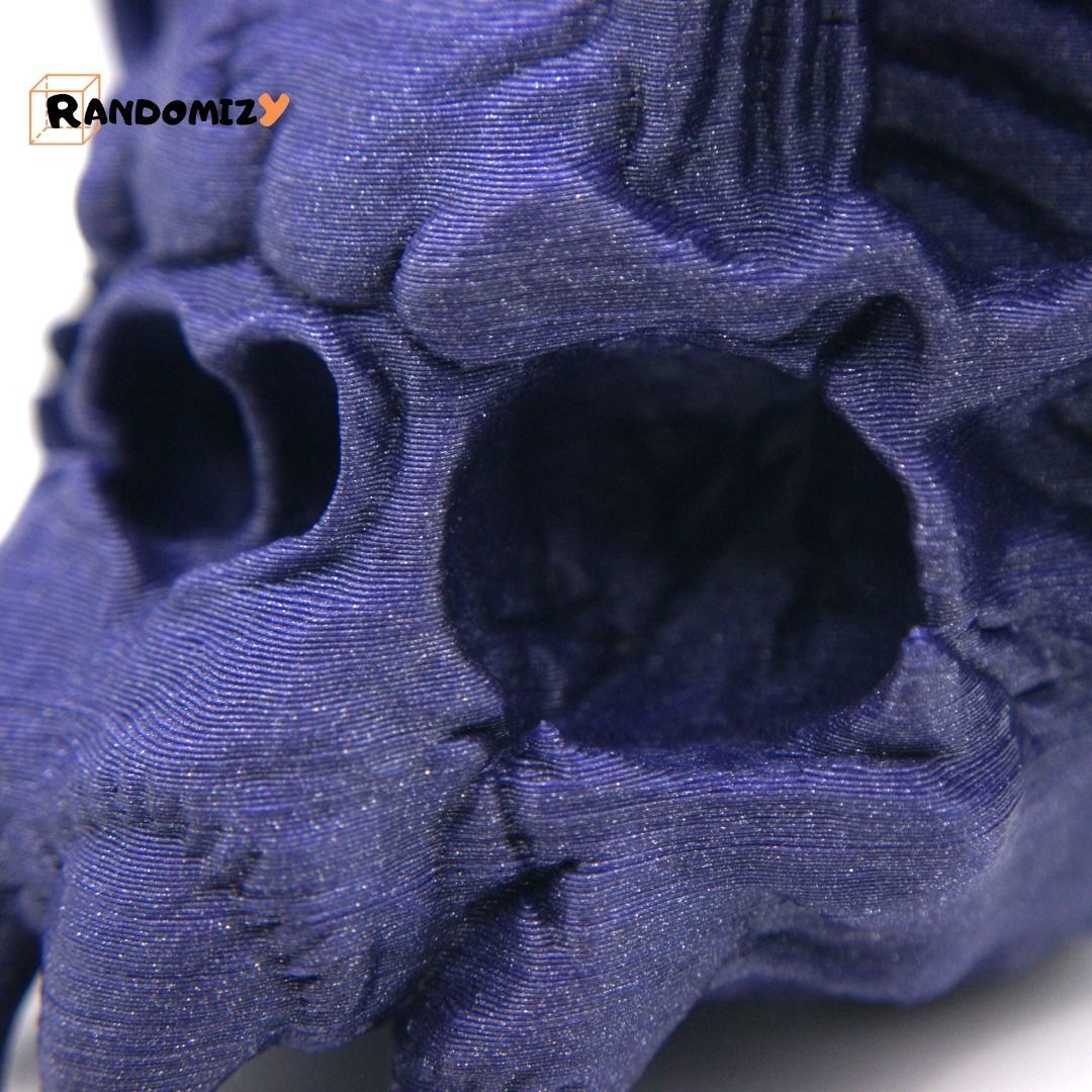Bat Skull 3D print model_4