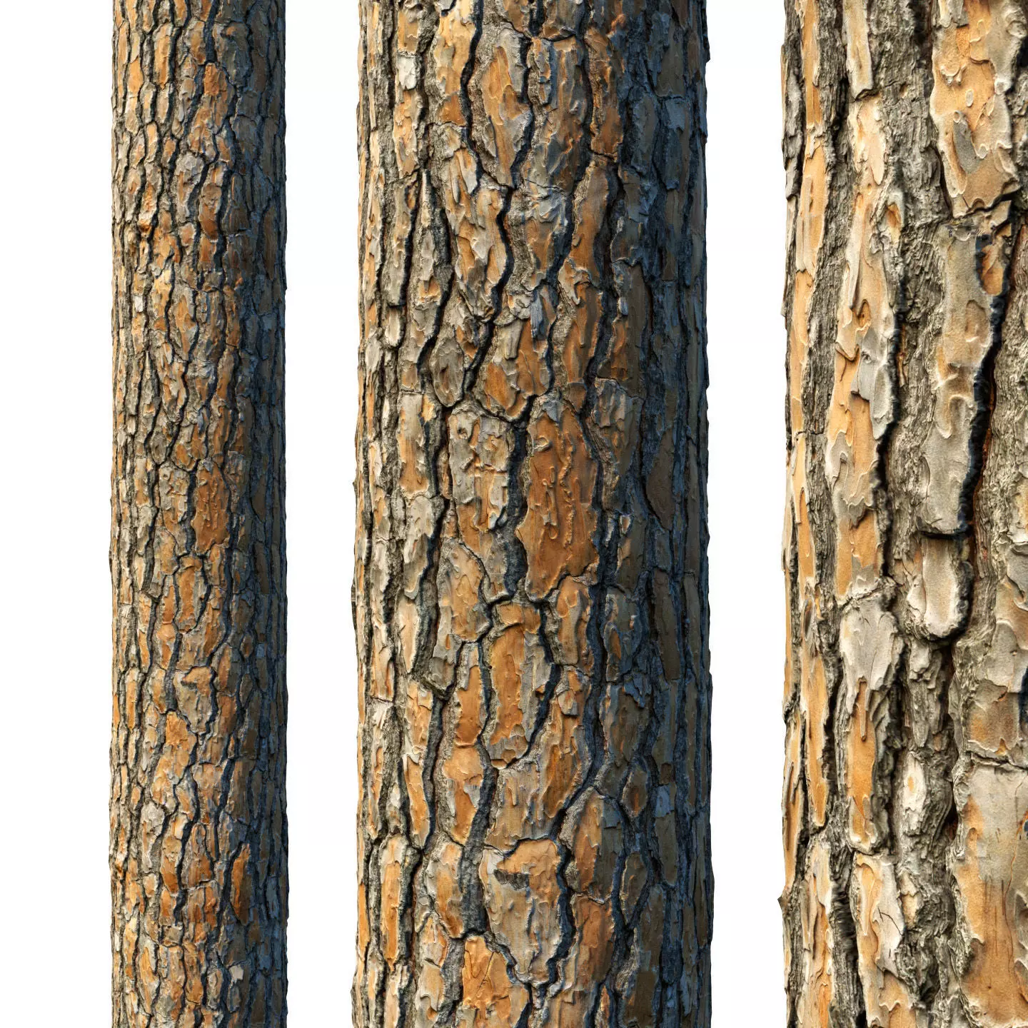 4k Pine Bark Material 03 Texture