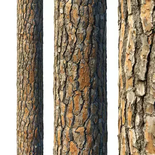 4k Pine Bark Material 03 Texture