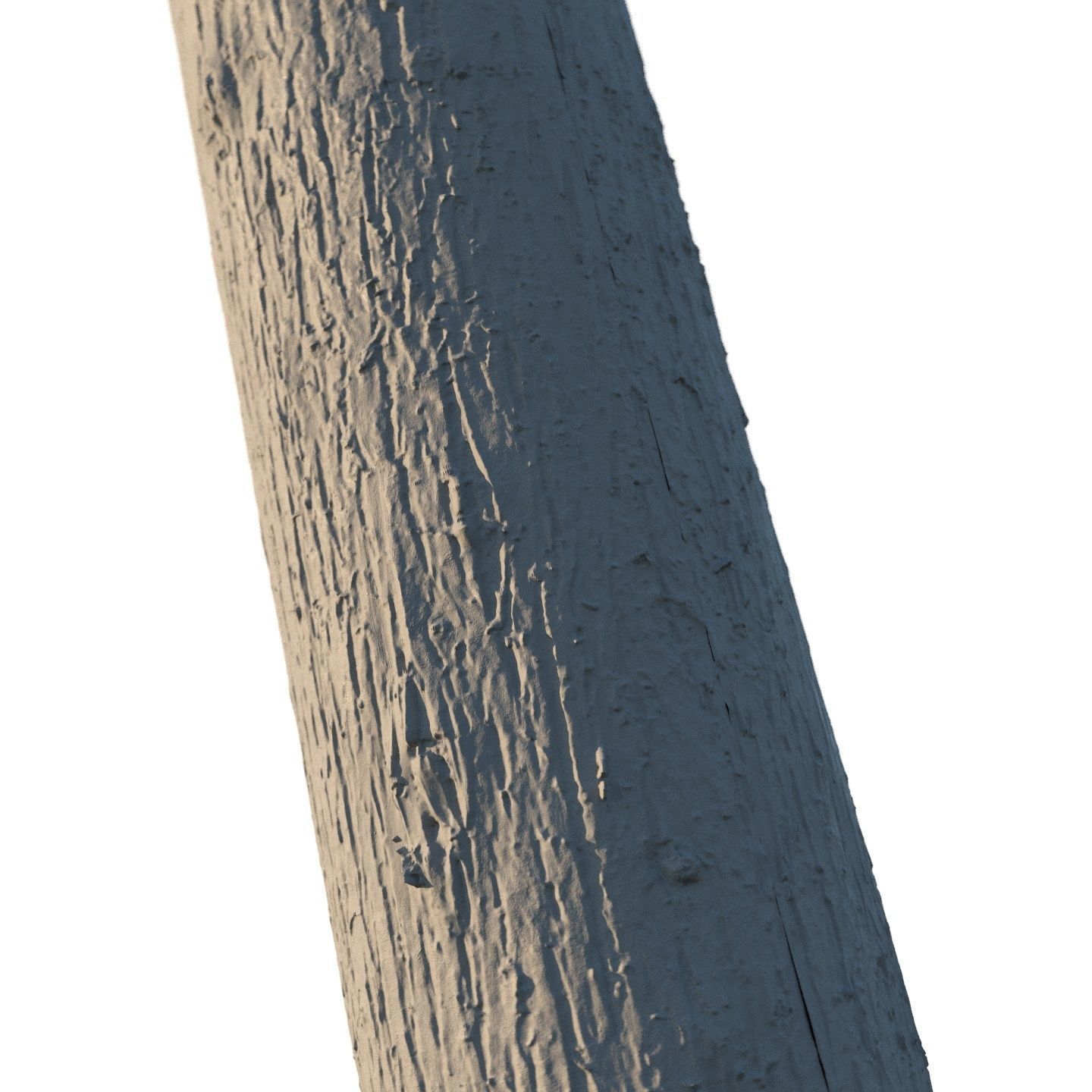 4k Cypress bark material 01 Texture_5