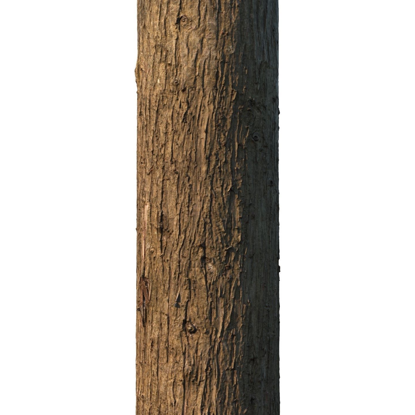 4k Cypress bark material 01 Texture_3