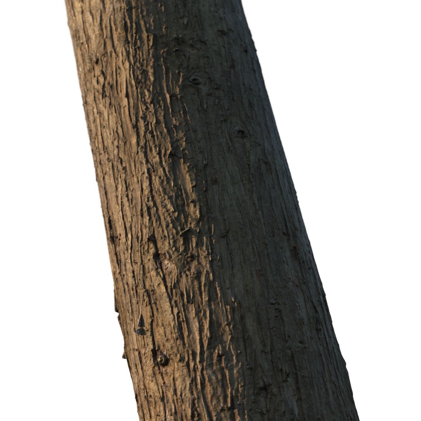 4k Cypress bark material 01 Texture_2