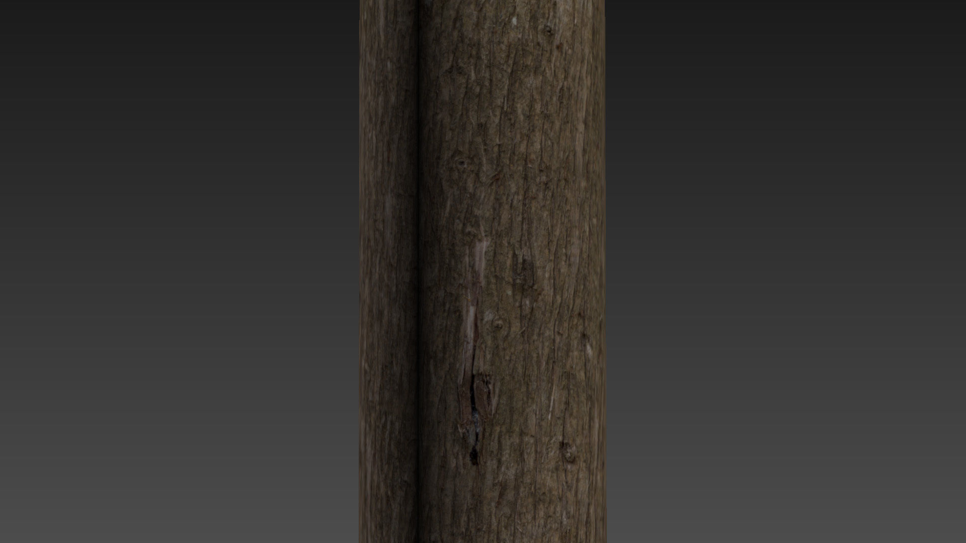 4k Cypress bark material 01 Texture_10