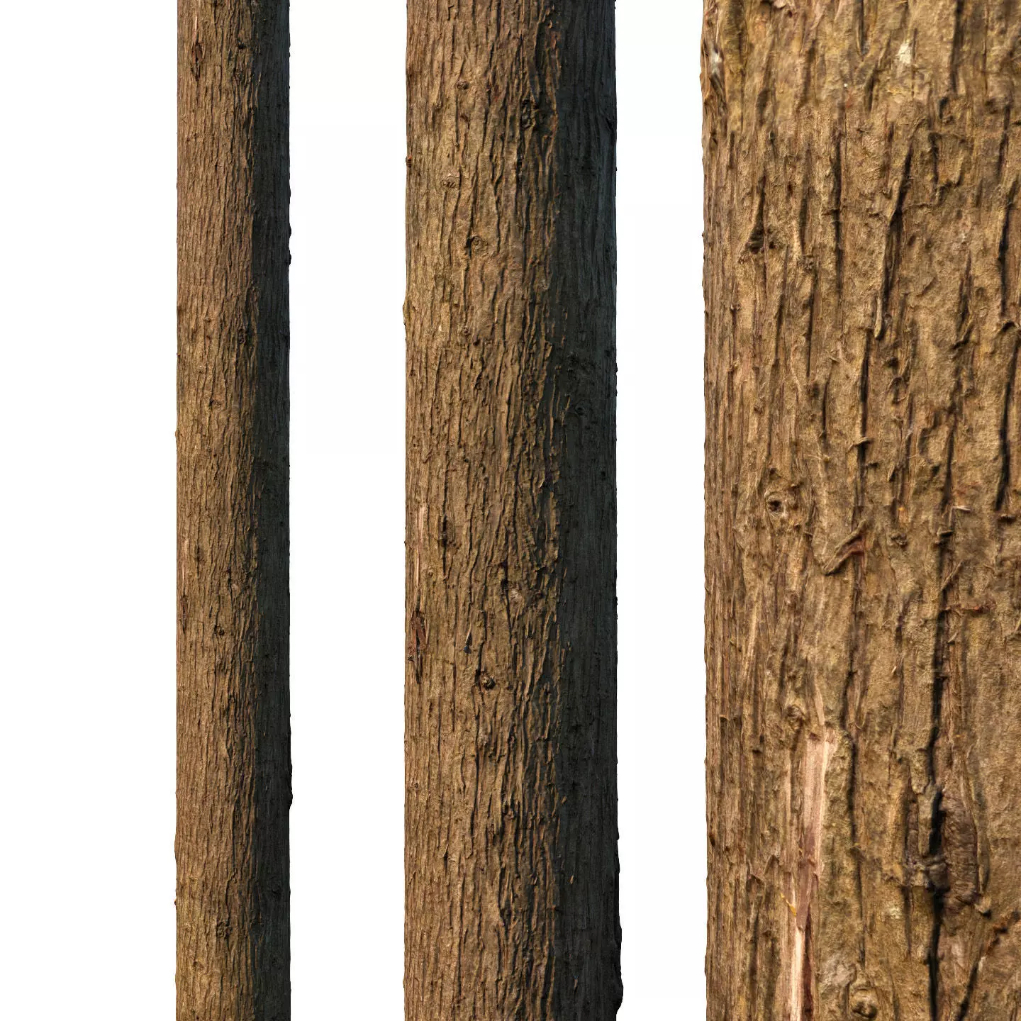 4k Cypress bark material 01 Texture_0